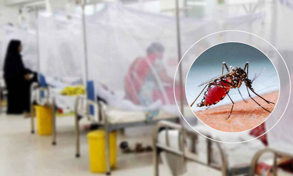 ডেঙ্গুতে আরো একজনের মৃত্যু, হাসপাতালে ৩৯১