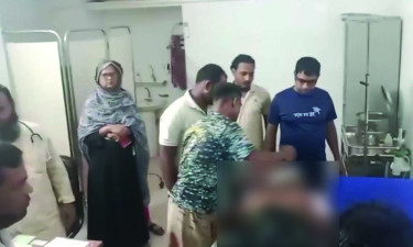 চাঁপাইনবাবগঞ্জে সাপের কামড়ে গোয়ালার মৃত্যু