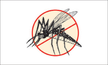১০ জেলায় ৭৯% ডেঙ্গু রোগী