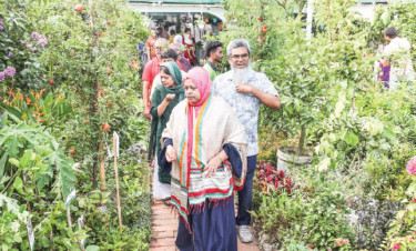 বিদেশি ফলের চারার চাহিদা বেশি