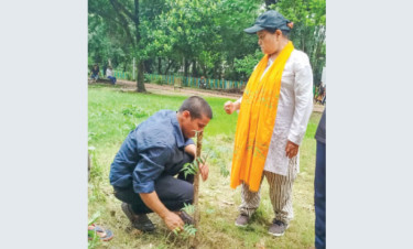 বসুন্ধরা শুভসংঘের উদ্যোগে রমনা পার্কে চারা রোপণ