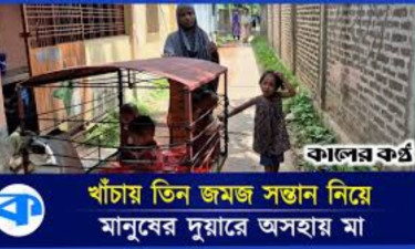 খাঁচায় তিন শিশুসন্তান নিয়ে মায়ের একার লড়াই