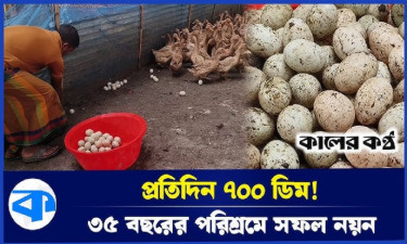 হাঁস খামারি নয়ন মিয়ার সাফল্যের গল্প এখন সবার অনুপ্রেরণা