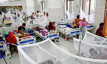 রাজবাড়ীতে ২৪ ঘণ্টায় আরো ৫ জন ডেঙ্গু আক্রান্ত