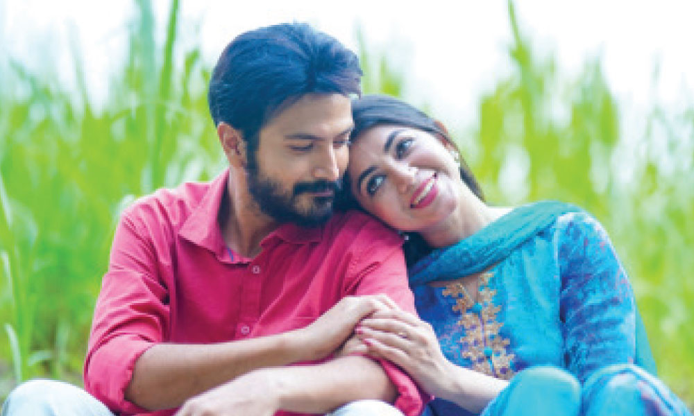 নসিব