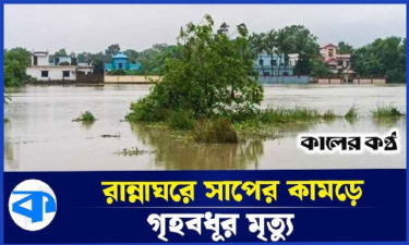 ধীরে নামছে ফেনী-নোয়াখালীর পানি, নতুন আতঙ্ক সাপ