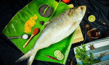 ইলিশ মাছ খাবেন না যারা