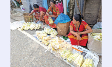 বাঁশ কোঁড়লে চলে সংসার