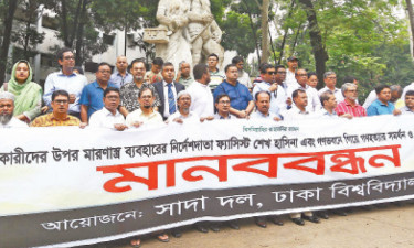 হাসিনা ও তাঁর সহযোগী ঢাবি শিক্ষকদের বিচার দাবি সাদা দলের