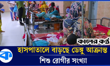 ঢাকাসহ বিভিন্ন জেলায় ডেঙ্গু আক্রান্ত হচ্ছে শিশুরা