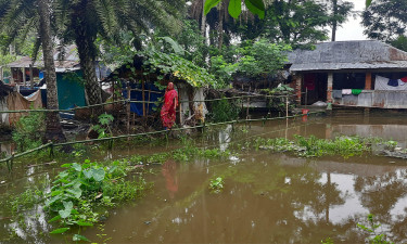 ভবদহে পানিবন্দি শত শত পরিবার, মৎস্যঘের ভেসে গেছে তলিয়েছে ফসল