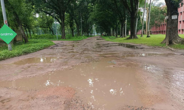 বেহাল রাস্তা, চলাচলে দুর্ভোগ শিক্ষক-শিক্ষার্থীদের
