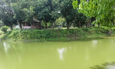 অর্ধকোটি খরচ করেও সাইনবোর্ডে সীমাবদ্ধ ডিসি পার্ক