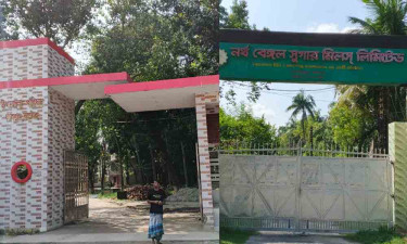 দেশের উষ্ণতম এলাকায় দুই প্রতিষ্ঠানের দ্বন্দ্বে বৃক্ষরোপণে বাধা