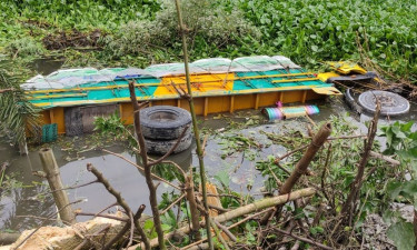 ১৮ লাখ টাকার আম নিয়ে ট্রাক খাদে