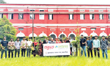 আনন্দ মোহন কলেজে গাছের চারা রোপণ