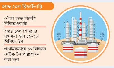 মাতারবাড়ীতে পেট্রোকেমিক্যাল কমপ্লেক্স করবে সরকার