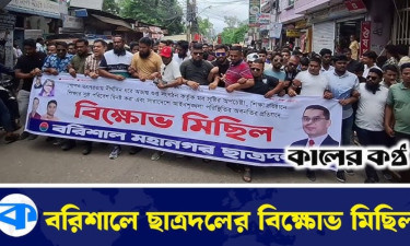 নির্বাচিত সরকার ছাড়া দেশে শৃঙ্খলা আসবে না : বিএনপি নেতা