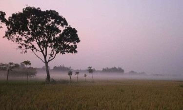 ২ বিভাগে কমবে দিনের তাপমাত্রা