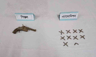 মেহেরপুরে যৌথ বাহিনীর অভিযানে অস্ত্র-গুলি উদ্ধার