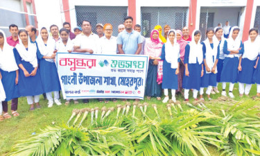 গাংনীতে গাছের চারা রোপণ কার্যক্রম শুরু