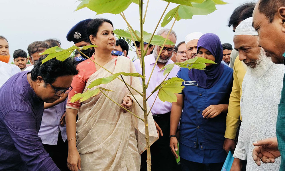 ভাড়ারদহ-পাটোয়াকামড়ি বিল পরিদর্শন ২ উপদেষ্টার