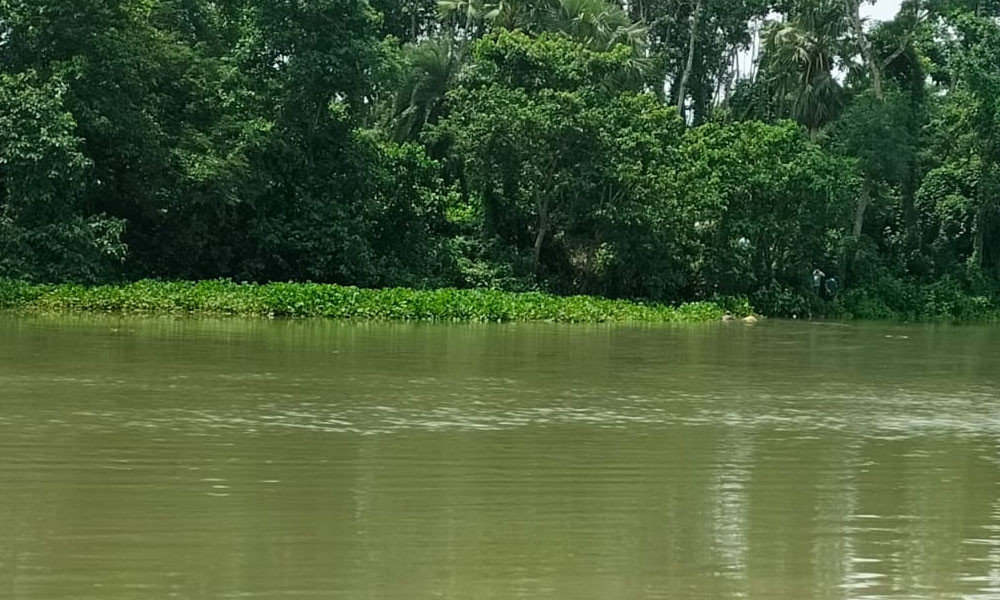 কোদলিয়া নদীতে অজ্ঞাতপরিচয় নারীর লাশ