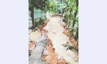 নোয়াখালী ও ফেনীতে ৮০০ কিলোমিটার সড়ক ক্ষতিগ্রস্ত