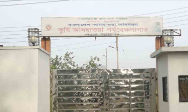 তাড়াশে ২৪ ঘণ্টায় সর্বাধিক ভারি বৃষ্টিপাতে তলিয়ে গেছে ফসলের বিস্তৃর্ণ মাঠ