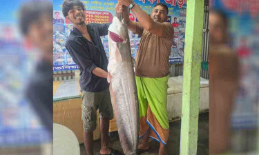 পদ্মার এক বোয়ালে জেলের বাজিমাত