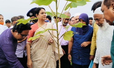 ভাড়ারদহ-পাটোয়াকামড়ি বিল পরিদর্শন ২ উপদেষ্টার