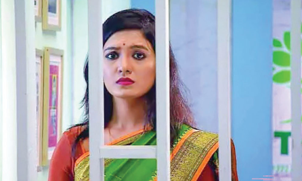 টিভি হাইলাইটস