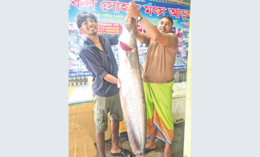 এক বোয়ালে জেলে জীবনের মুখে হাসি