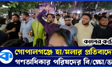 ১১ মাসে সরকারের অর্জন আমাদেরকে বিভক্ত করেছে : রাশেদ খান