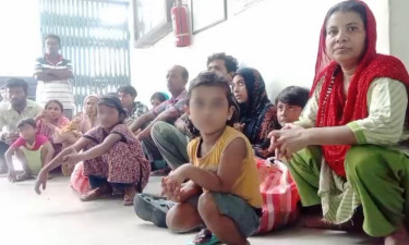 পঞ্চগড় সীমান্তে ২৪ জনকে পুশইন বিএসএফের