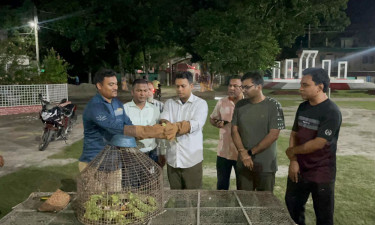 মুক্ত আকাশে উড়ল ৮০ টিয়া, ২ জনের দণ্ড