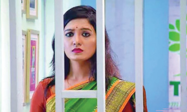 টিভি হাইলাইটস
