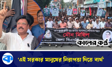 এই সরকার মানুষের নিরাপত্তা দিতে ব্যর্থ : কামরুল ইসলাম