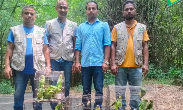 মিরপুর পাখির হাটে বন অধিদপ্তরের অভিযান