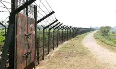 সীমান্ত থেকে ৩ বাংলাদেশিকে ধরে নিয়ে গেছে বিএসএফ