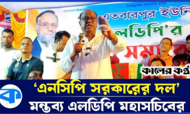 পাহারা দিয়ে মিটিং করতে দেওয়া সরকারের দায়িত্ব নয় : এলডিপি মহাসচিব