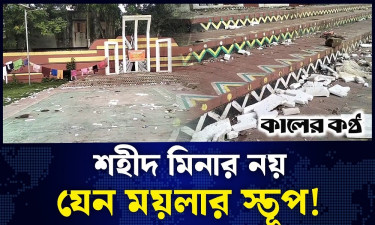 শেরপুর শহীদ মিনার যেন ময়লার স্তূপ, উদাসীন কর্তৃপক্ষ