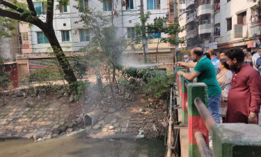 মশক নিধনে ডিএসসিসির পরিচ্ছন্নতা অভিযান