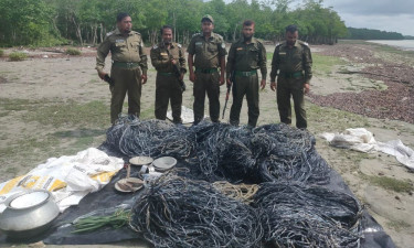 সুন্দরবনে ট্রলারসহ হরিণ শিকারের ৮ হাজার ফুট ফাঁদ জব্দ