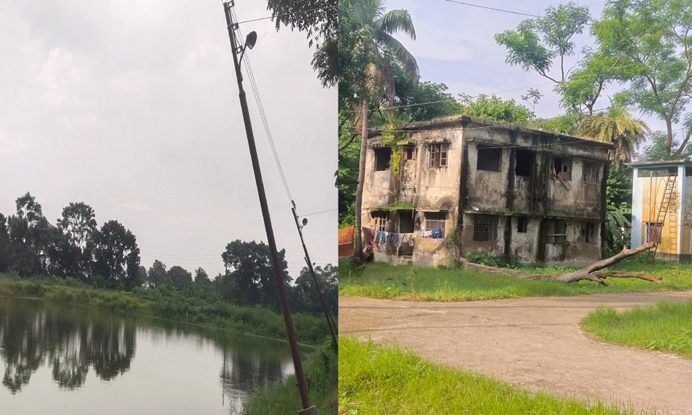 নানা সমস্যায় জর্জরিত বুড়িচংয়ের সরকারি মৎস্য বীজ খামার