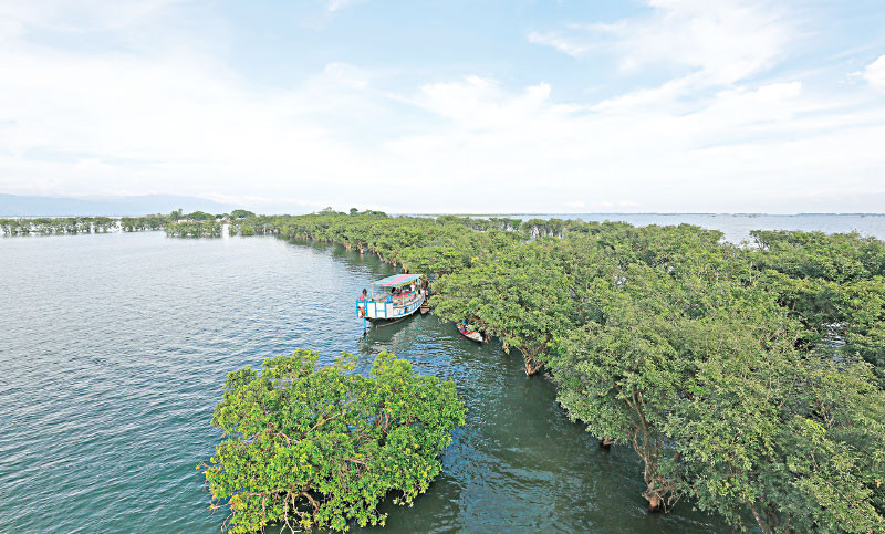 জেলে নৌকায় টাঙ্গুয়ার হাওরে