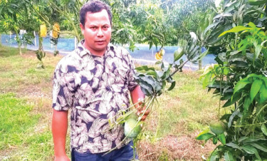 ইউরোপে রপ্তানি হলো গ্যাপ পদ্ধতির উন্নতমানের আম