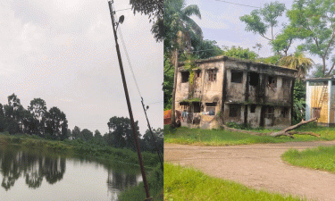 নানা সমস্যায় জর্জরিত বুড়িচংয়ের সরকারি মৎস্য বীজ খামার