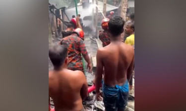 উল্লাপাড়ায় ১০ বাড়ি আগুনে পুড়ে ছাই