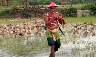 হাঁস মিন্টুর জাদুর বাঁশি